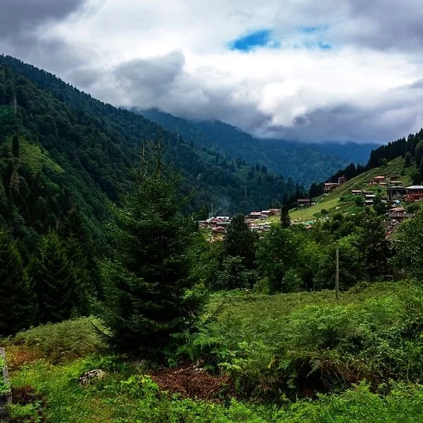 Karadeniz Turu